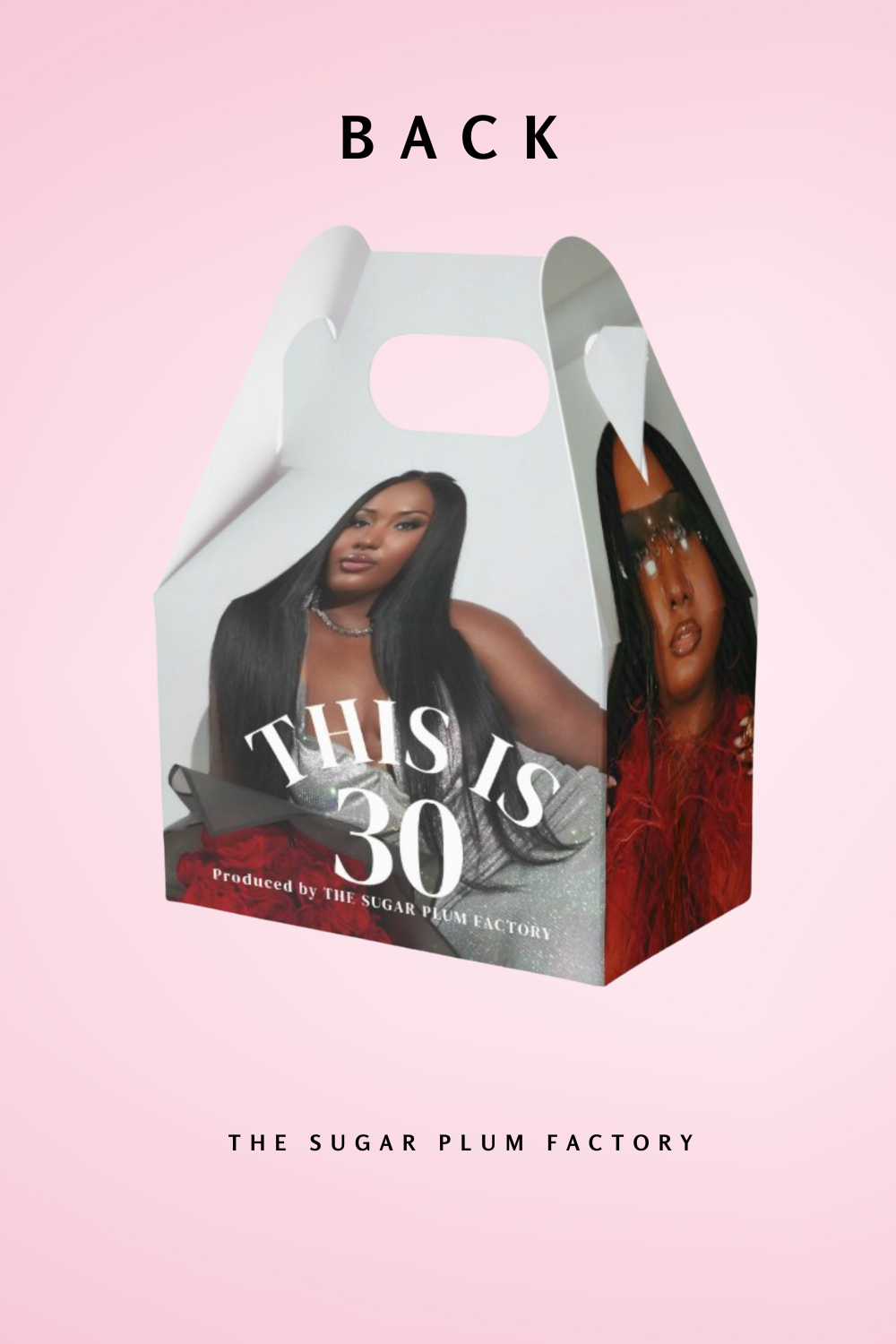 Custom Party Favor Gable Box- Set of 10